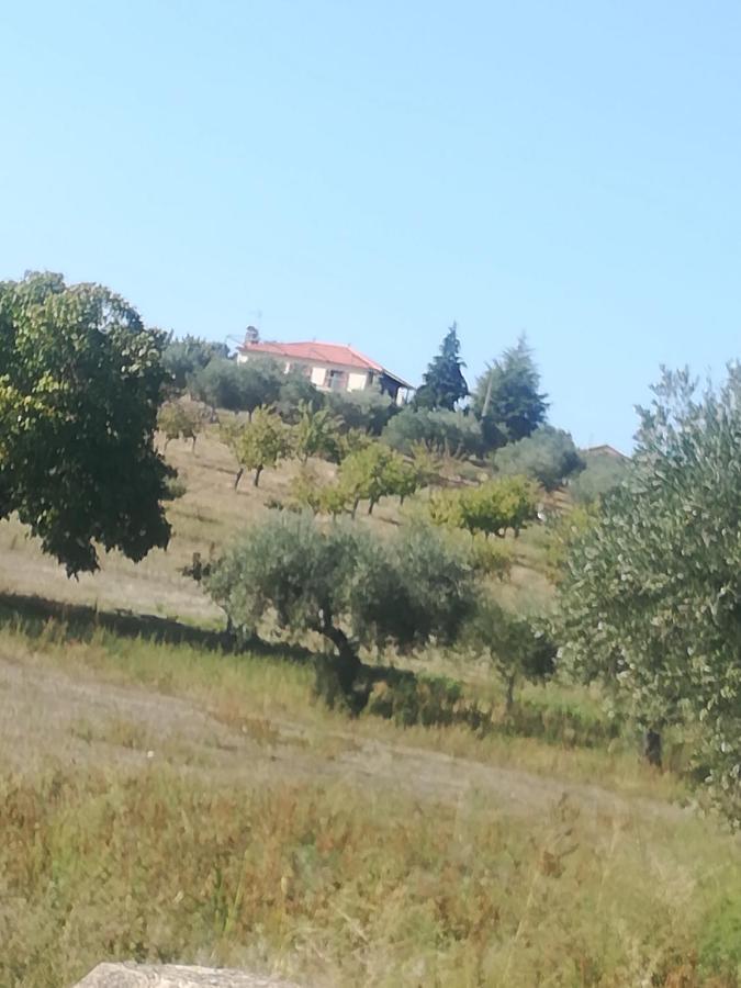 Casa Das Argolas 라세도데카발라이로스 외부 사진